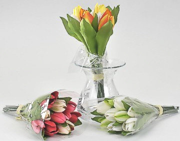 Tulpenbndel 26 cm Set 9 Stck