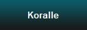 Koralle