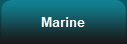 Marine