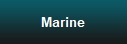 Marine